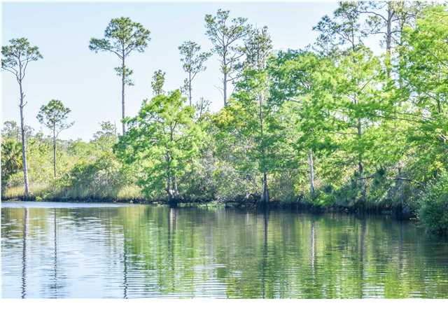 2011 River Bend Road Carrabelle, FL 32322 - Photo 9 of 14