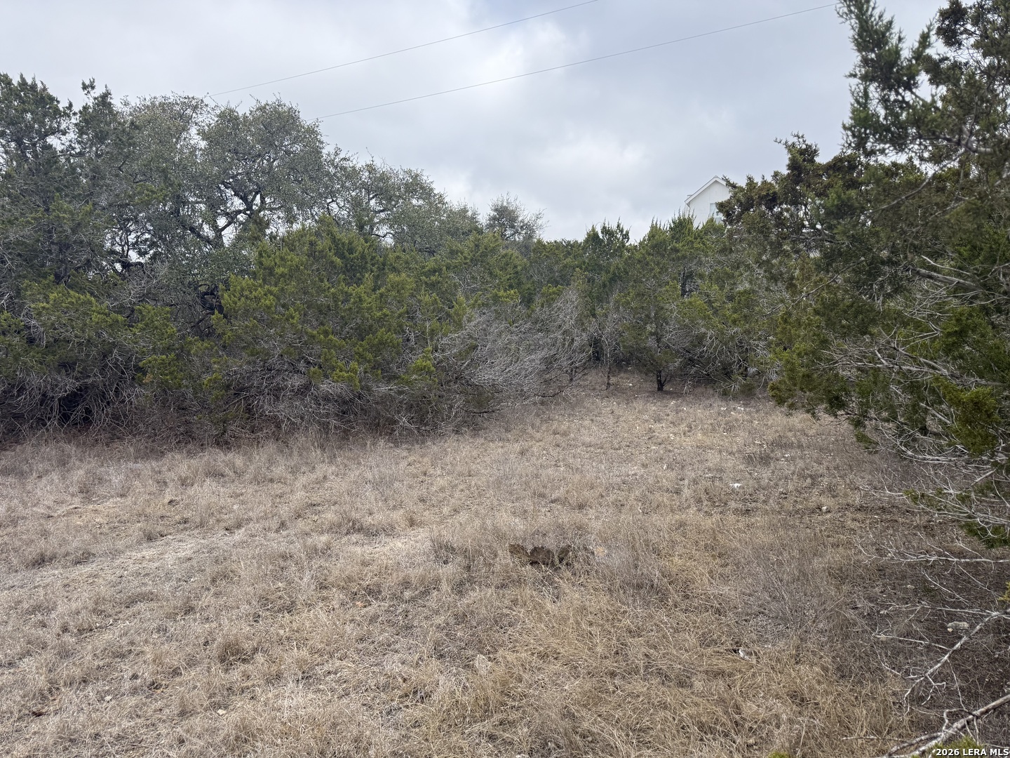 71 South Clf Spring Branch Spring Branch, TX 78070 - Photo 3 of 6 a view of a forest with trees in the background