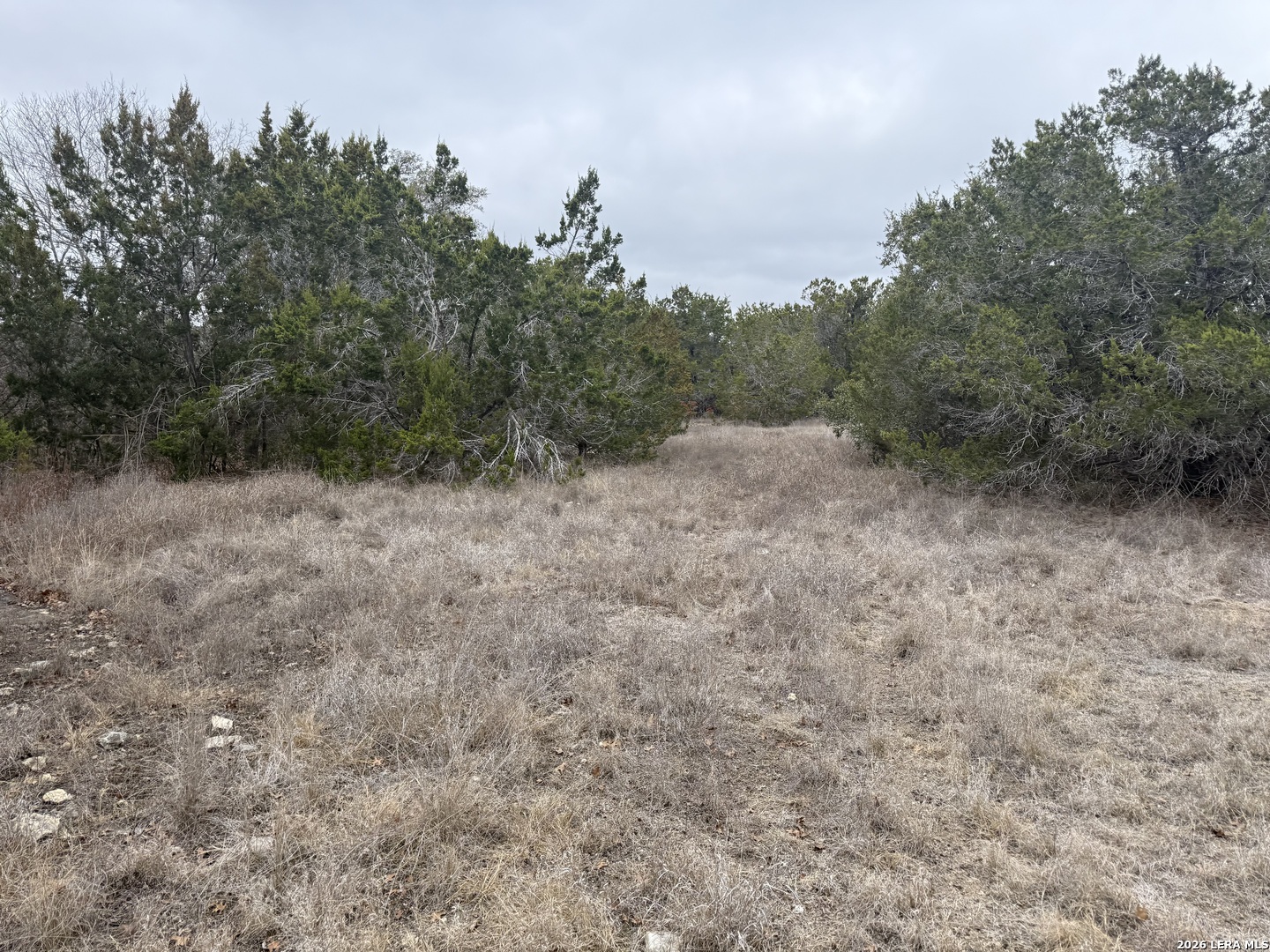 71 South Clf Spring Branch Spring Branch, TX 78070 - Photo 4 of 6 a view of a dry yard with trees in the background