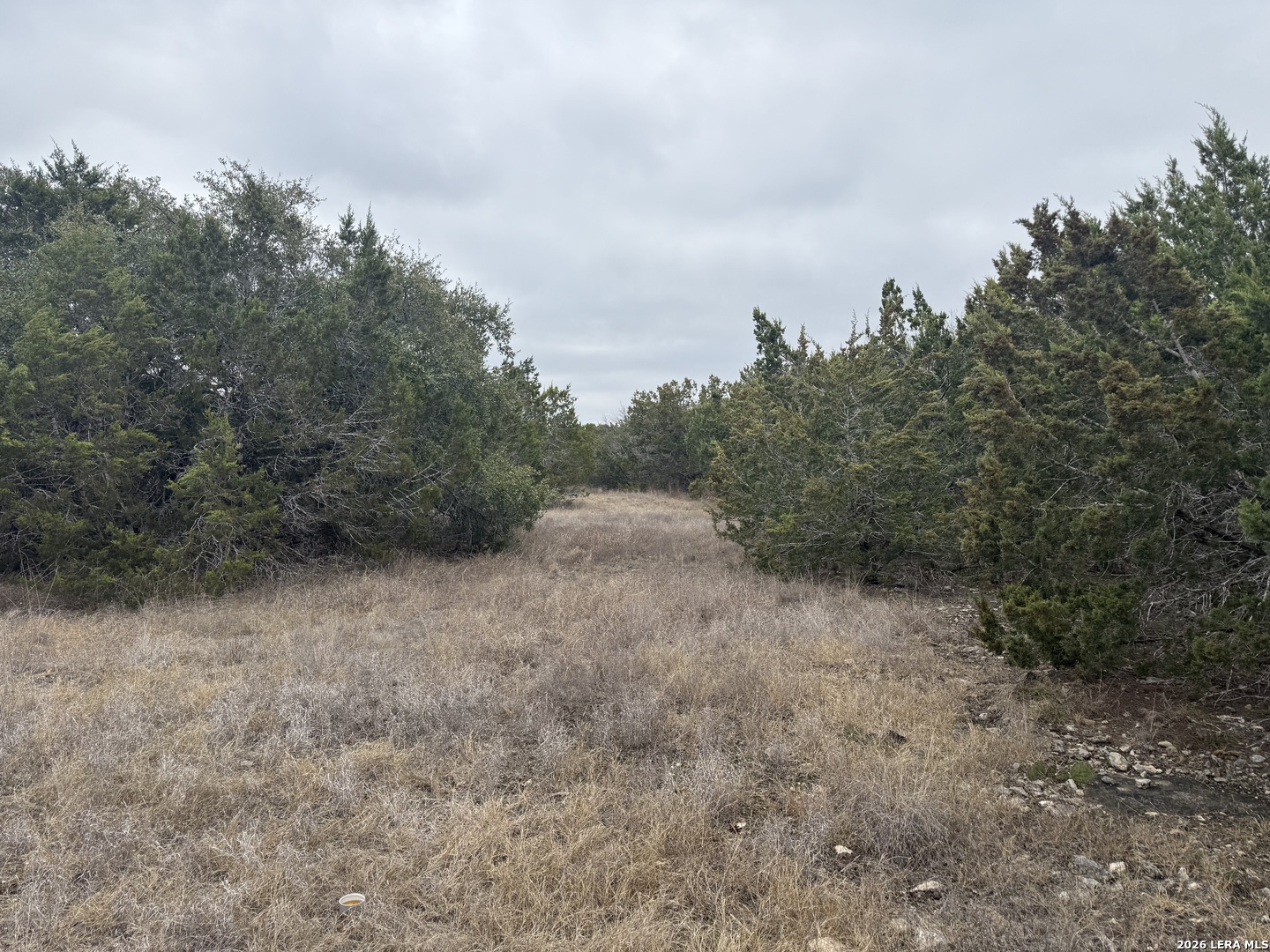71 South Clf Spring Branch Spring Branch, TX 78070 - Photo 5 of 6 a view of a forest with trees in the background