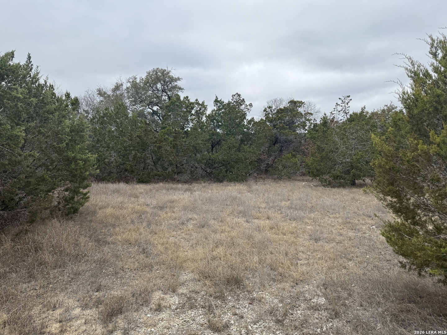 71 South Clf Spring Branch Spring Branch, TX 78070 - Photo 6 of 6 a view of a dry yard with trees in the background