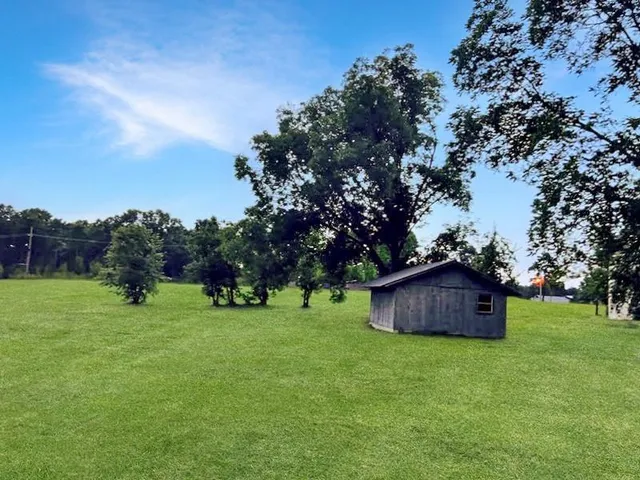 a view of a backyard with large trees
