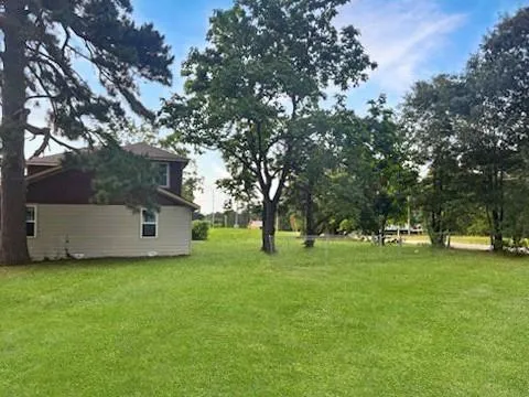 a view of a tree in a park