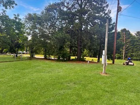 a view of park with trees