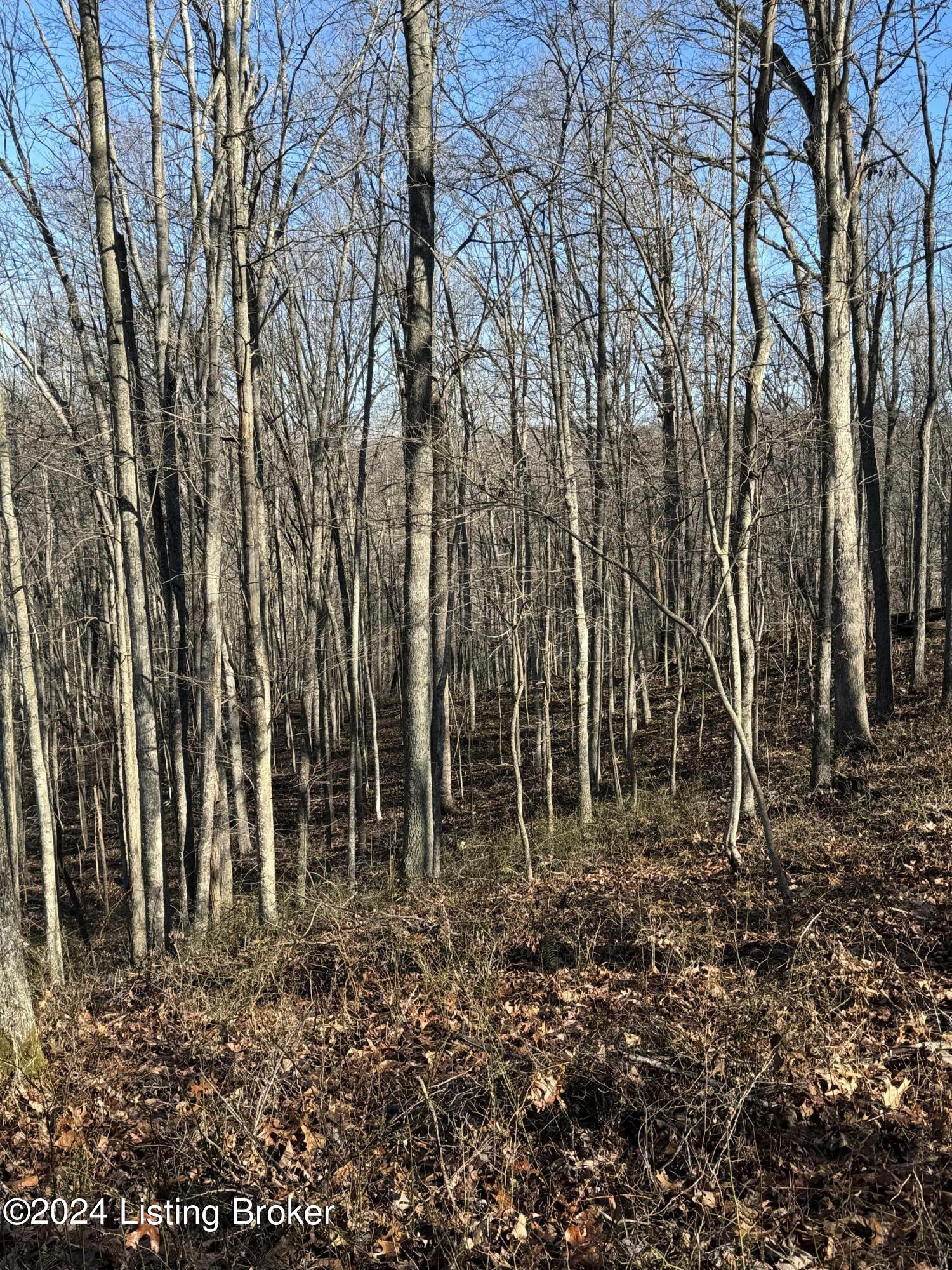 0 Cooper Road Greenup, KY 41144 - Photo 31 of 37 IMG_1061