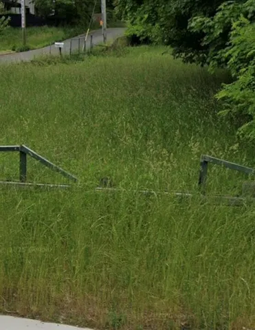 a view of a field with a tree
