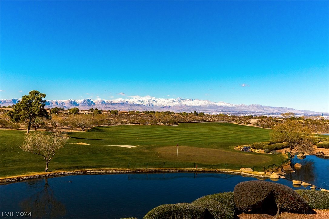 40 Emerald Dunes Circle Henderson, NV 89052 - Photo 45 of 46