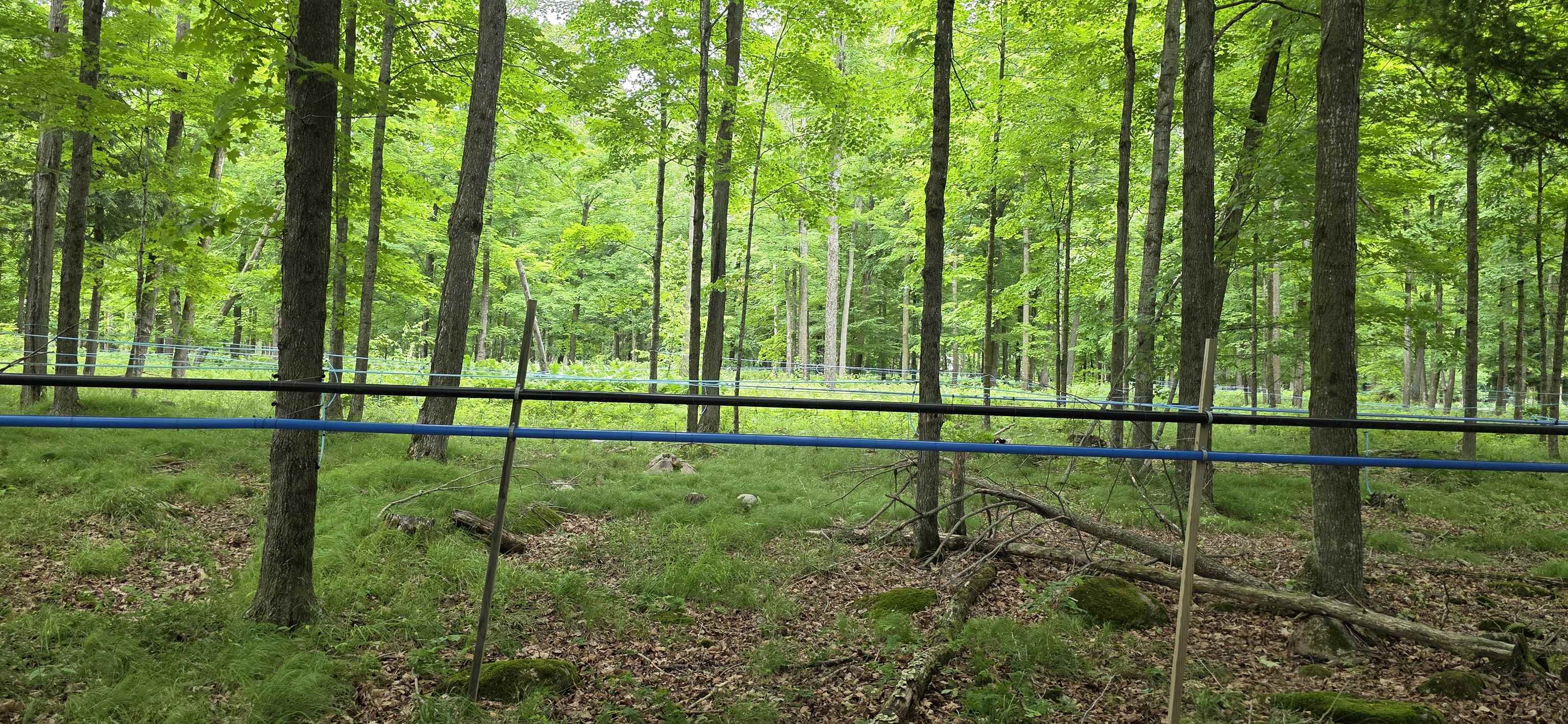 Springbrook Road Tigerton, WI 54486 - Photo 55 of 56
