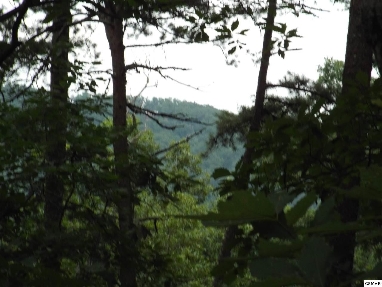 4 Lloyd Huskey Road Pigeon Forge, TN 37863 - Photo 6 of 10