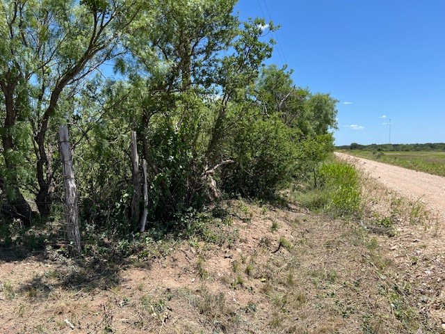 Lot 4-5 County Road Brady, TX 76825 - Photo 2 of 8 a view of a yard with plants and large trees