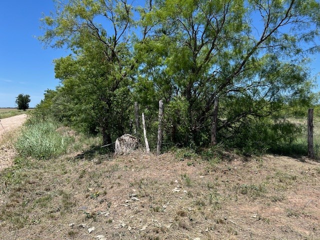Lot 4-5 County Road Brady, TX 76825 - Photo 3 of 8 a view of a tree with a yard