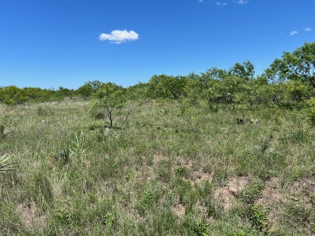 Lot 4-5 County Road Brady, TX 76825 - Photo 5 of 8 a view of a city with lush green forest