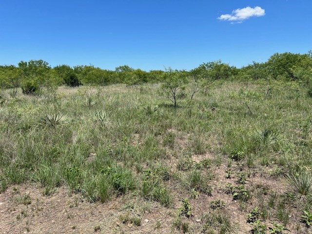 Lot 4-5 County Road Brady, TX 76825 - Photo 8 of 8 a view of a field with an outdoor space