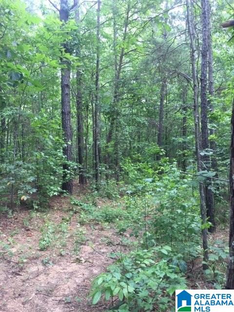 0 Gould Road Columbiana, AL 35051 - Photo 4 of 7