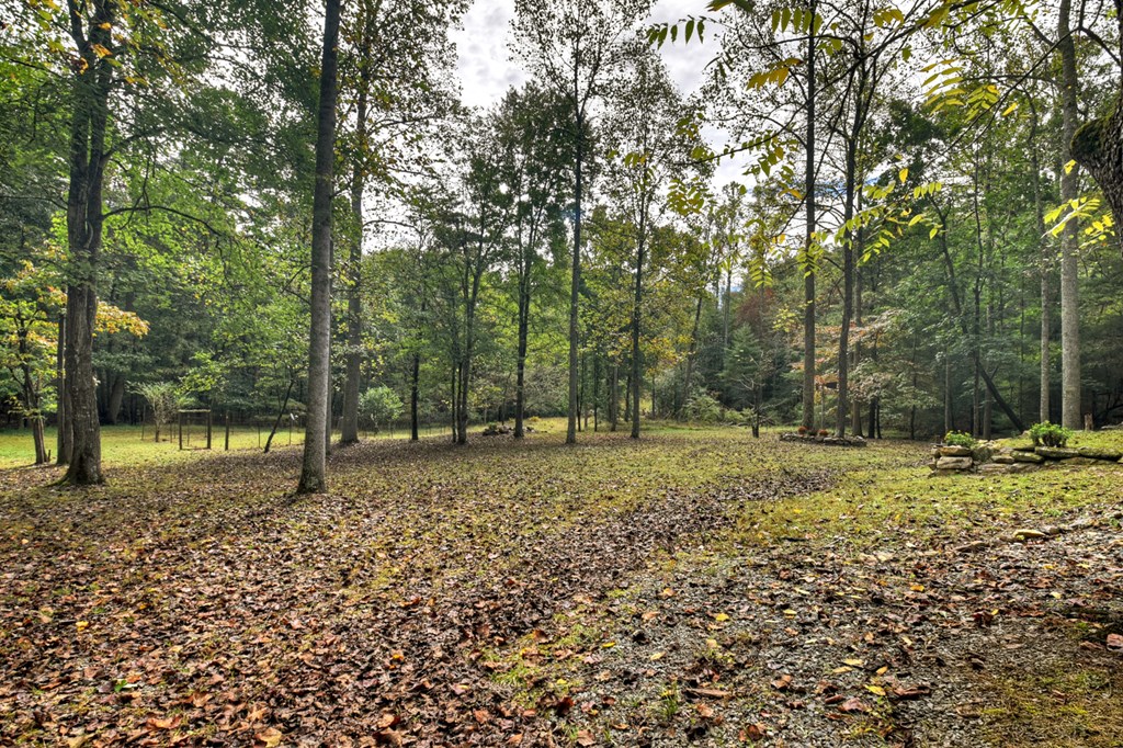 1081 Mitchell Branch Road Morganton, GA 30560 - Photo 6 of 52 Gallery Image 6