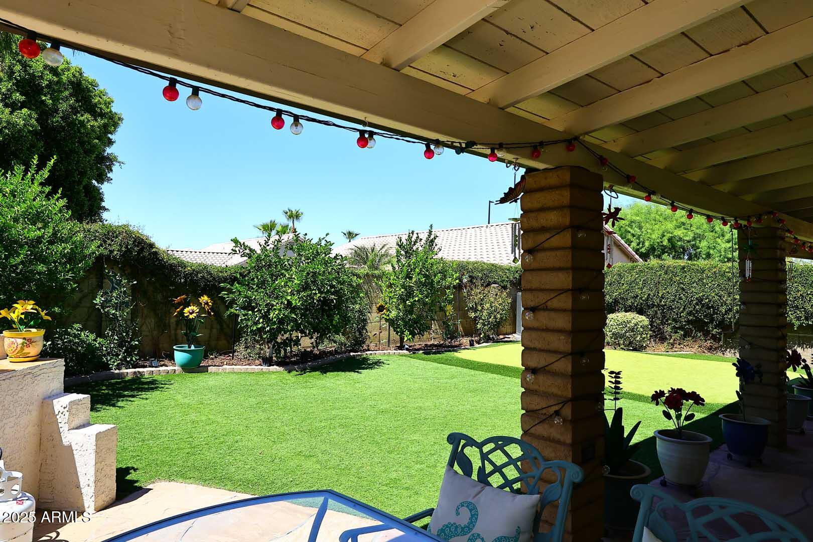 359 West Brisa Drive Gilbert, AZ 85233 - Photo 35 of 46 Covered Patio-View2