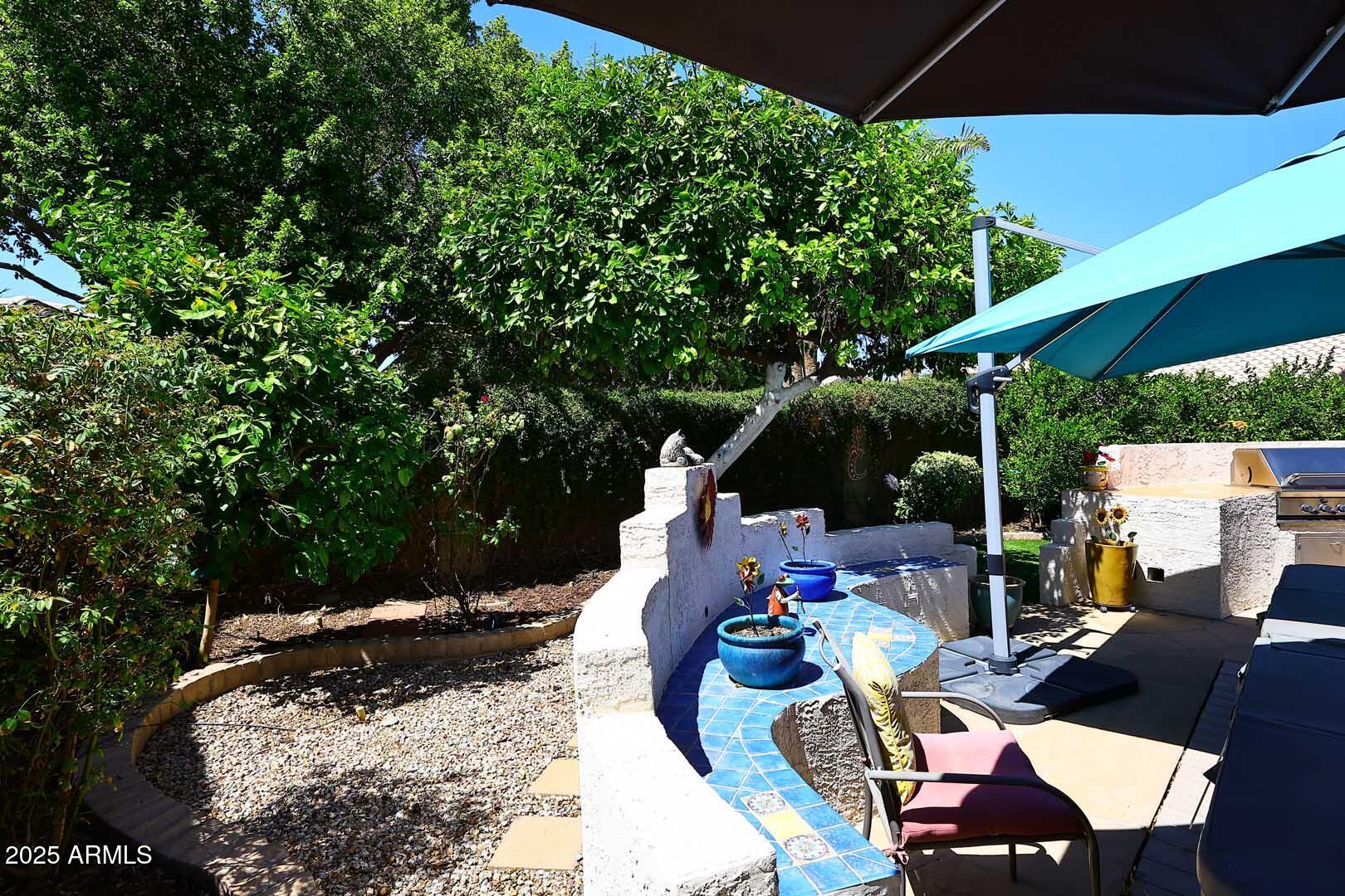 359 West Brisa Drive Gilbert, AZ 85233 - Photo 36 of 46 Citrus Trees-Bench