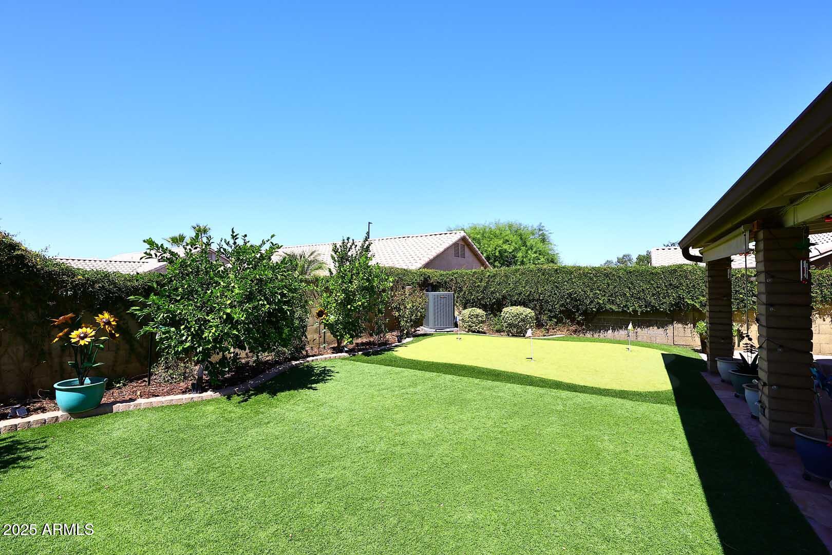 359 West Brisa Drive Gilbert, AZ 85233 - Photo 39 of 46 Backyard