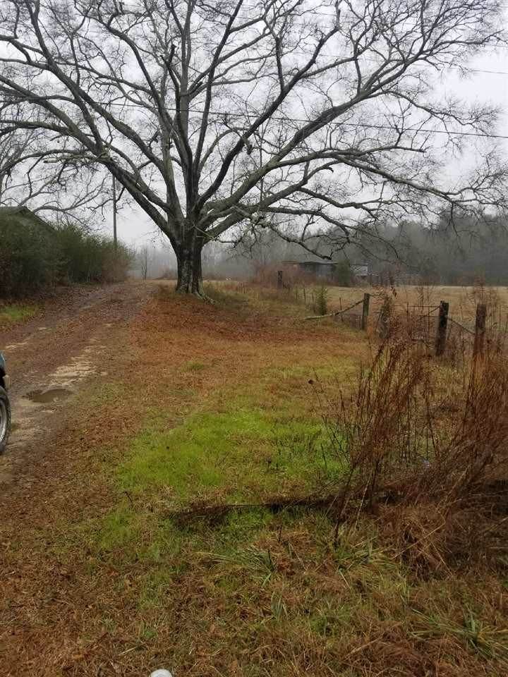 1245 Mowdy Road Walnut Grove, MS 39189 - Photo 1 of 1 Photo 1
