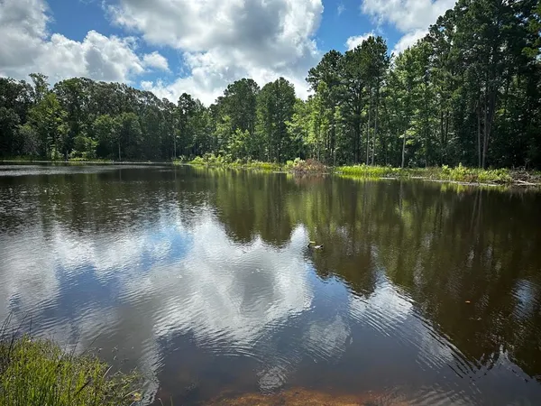 a view of a lake