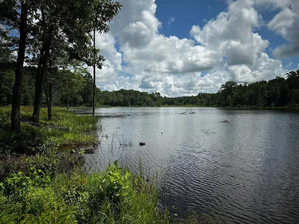 a view of lot of lake