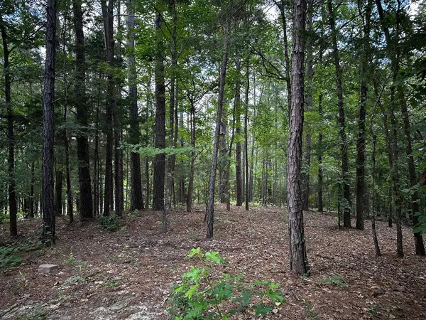 a big yard with lots of green space and deers