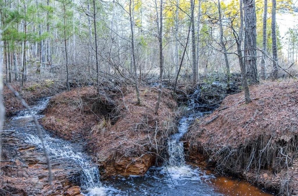 314 County Road 314 Frankston, TX 75763 - Photo 29 of 29 a view of a yard with large trees