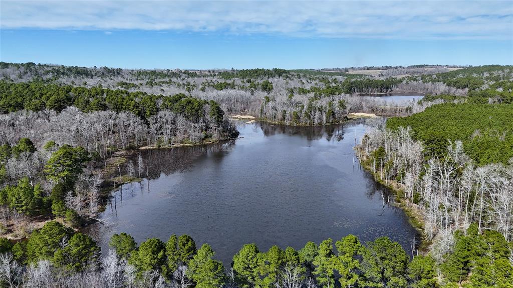 314 County Road 314 Frankston, TX 75763 - Photo 3 of 29 a view of a lake with a yard