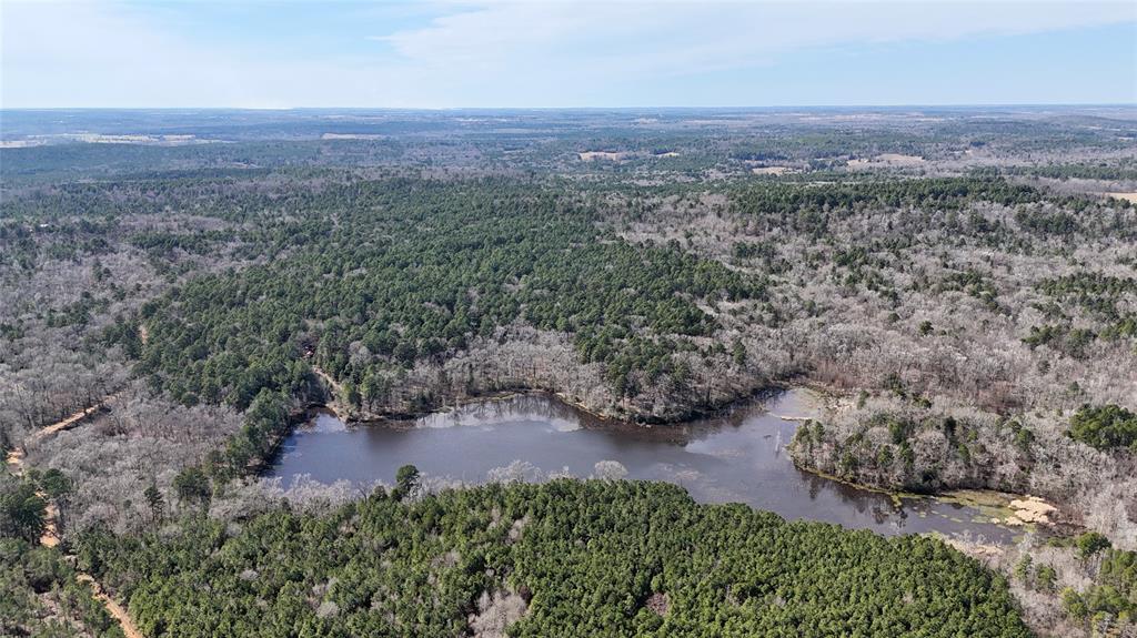314 County Road 314 Frankston, TX 75763 - Photo 5 of 29 an aerial view of a house with a yard