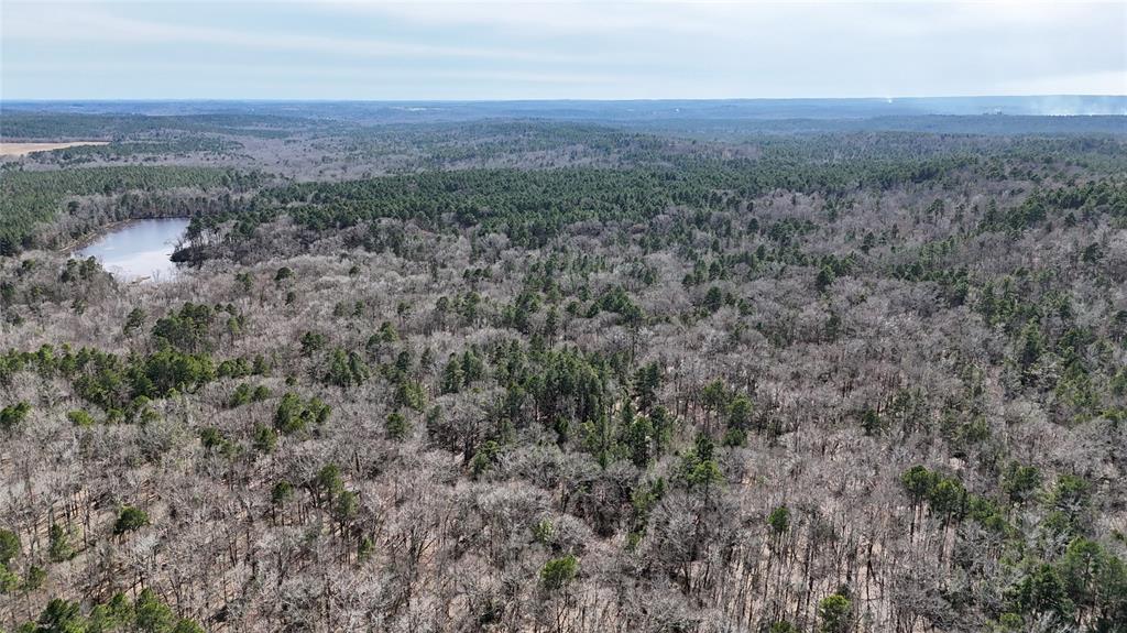 314 County Road 314 Frankston, TX 75763 - Photo 7 of 29 a view of a field with a mountain in the background