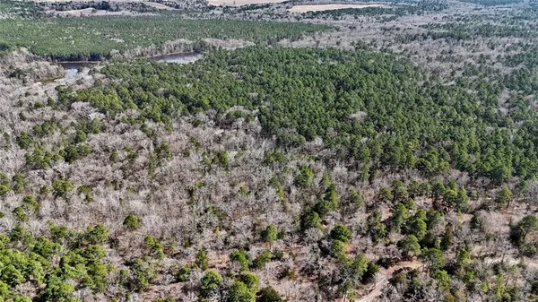 an aerial view of a houses with a lush green hillside
