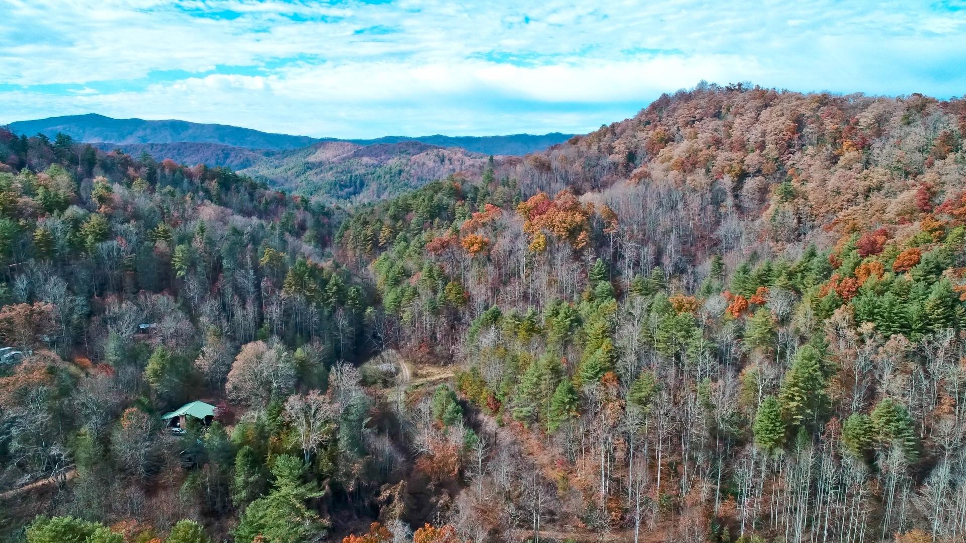 27.37-acre 27.37-acre Laurel Fork Road Del Rio, TN 37727 - Photo 1 of 25 DJI_0018