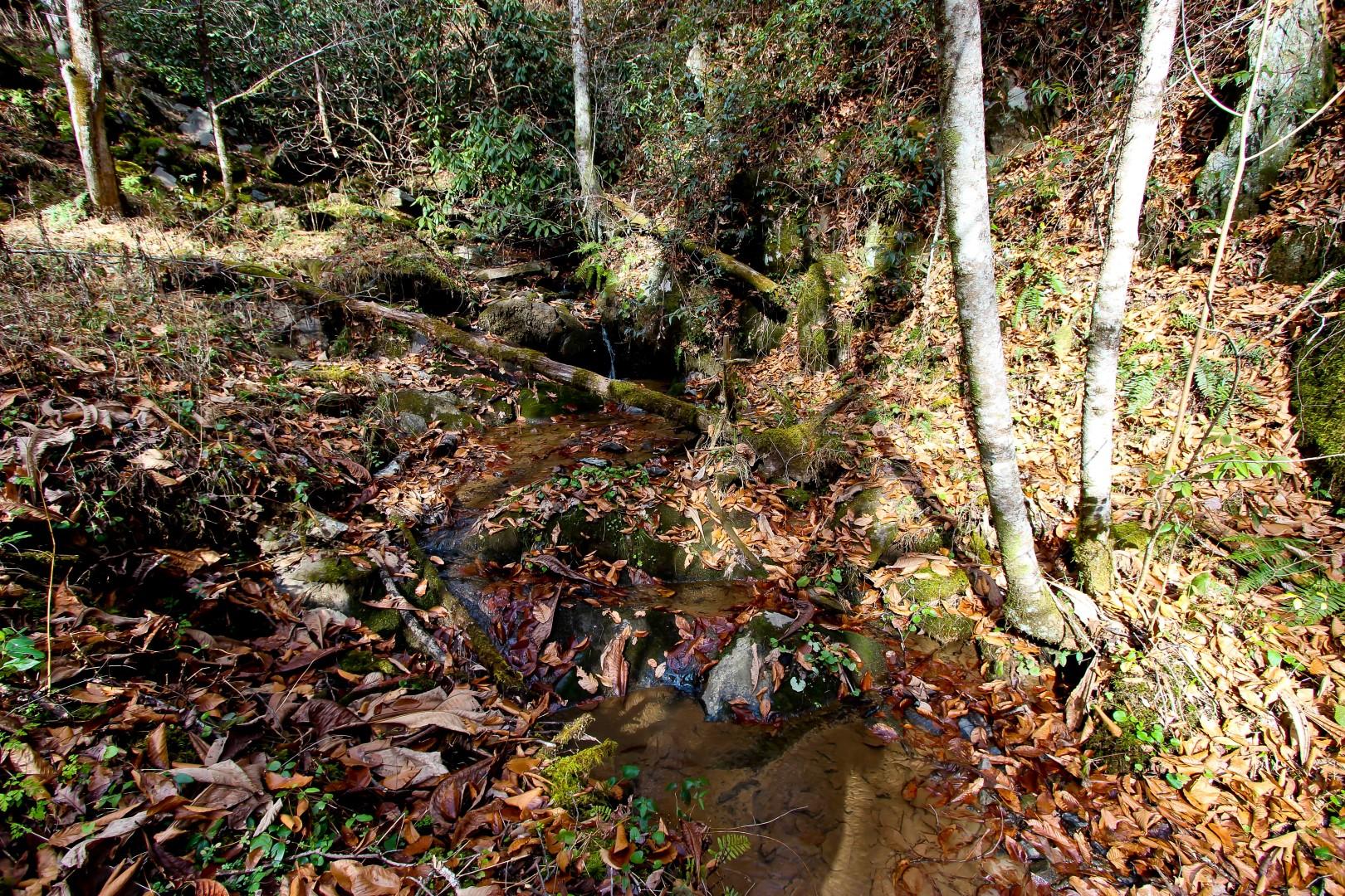 27.37-acre 27.37-acre Laurel Fork Road Del Rio, TN 37727 - Photo 11 of 25 IMG_3935