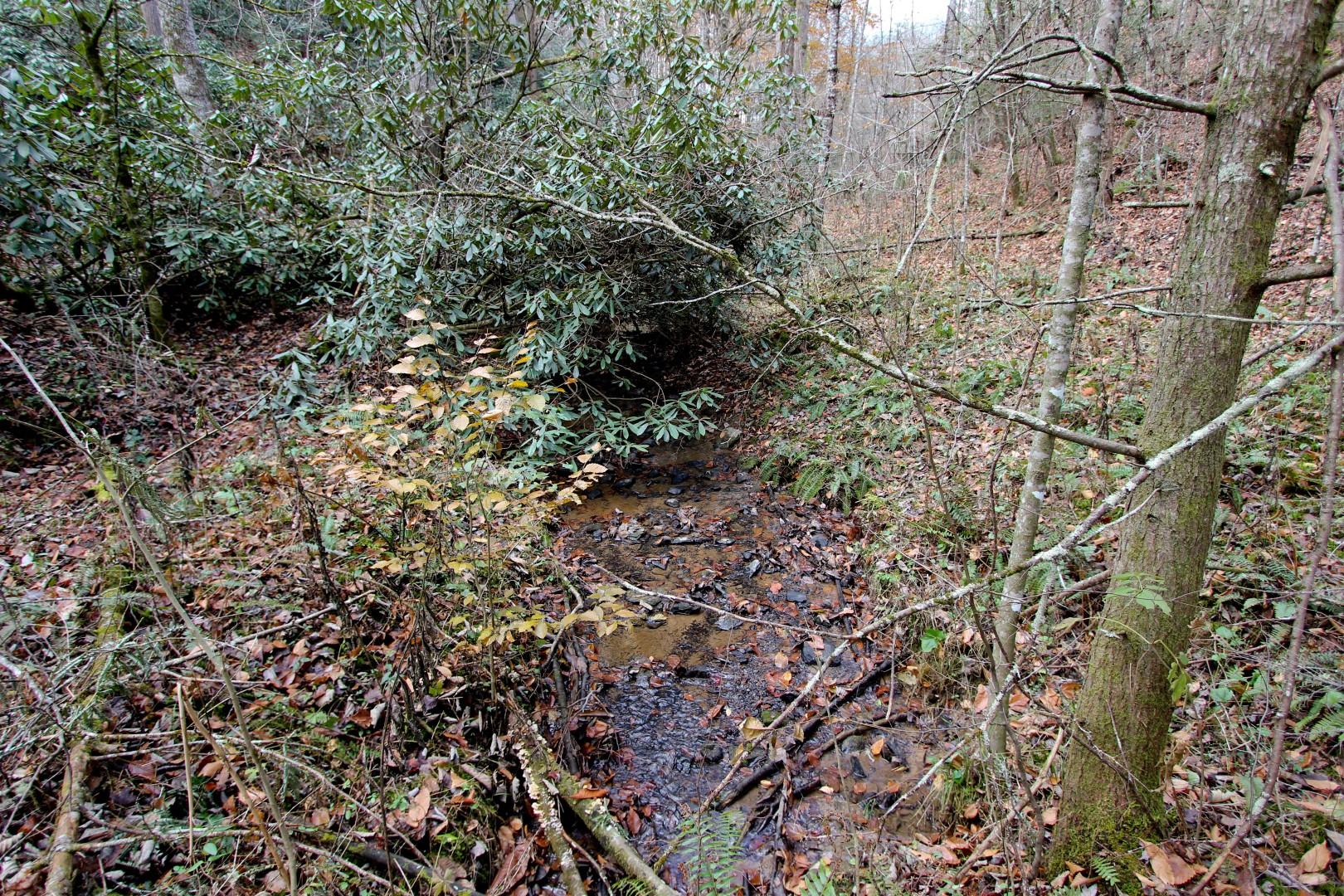 27.37-acre 27.37-acre Laurel Fork Road Del Rio, TN 37727 - Photo 14 of 25 IMG_3943