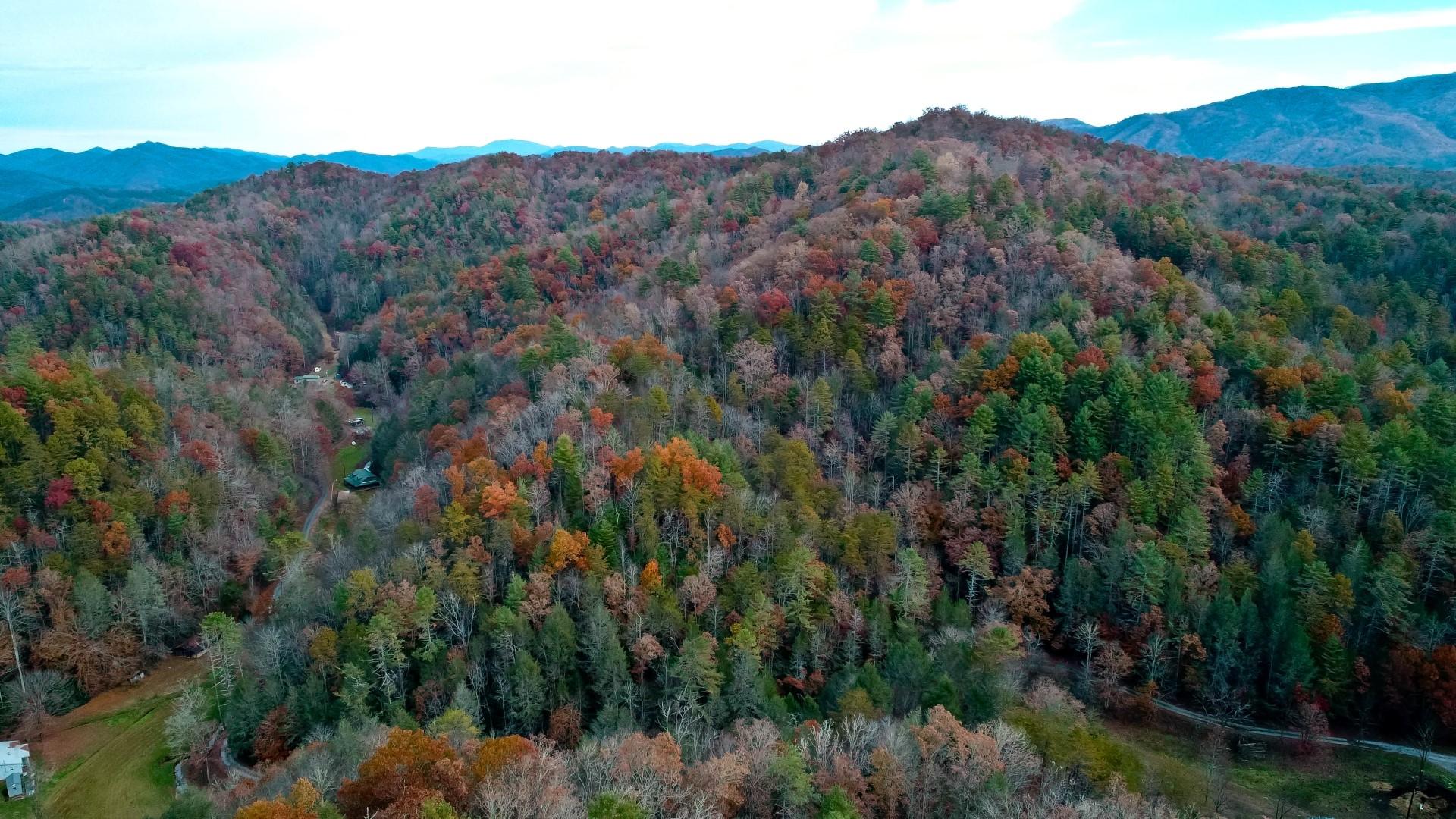 27.37-acre 27.37-acre Laurel Fork Road Del Rio, TN 37727 - Photo 3 of 25 DJI_0010