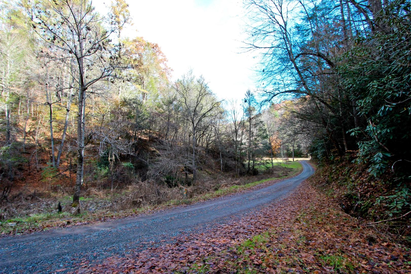 27.37-acre 27.37-acre Laurel Fork Road Del Rio, TN 37727 - Photo 21 of 25 IMG_3931