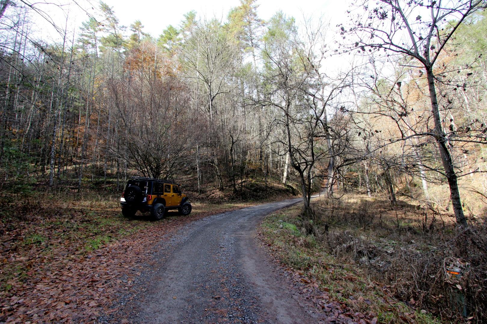 27.37-acre 27.37-acre Laurel Fork Road Del Rio, TN 37727 - Photo 22 of 25 IMG_3932