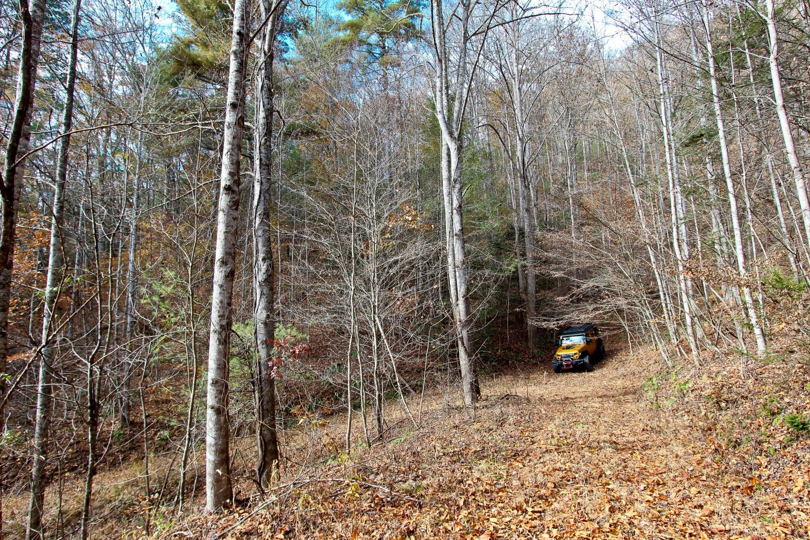 27.37-acre 27.37-acre Laurel Fork Road Del Rio, TN 37727 - Photo 25 of 25 IMG_3954