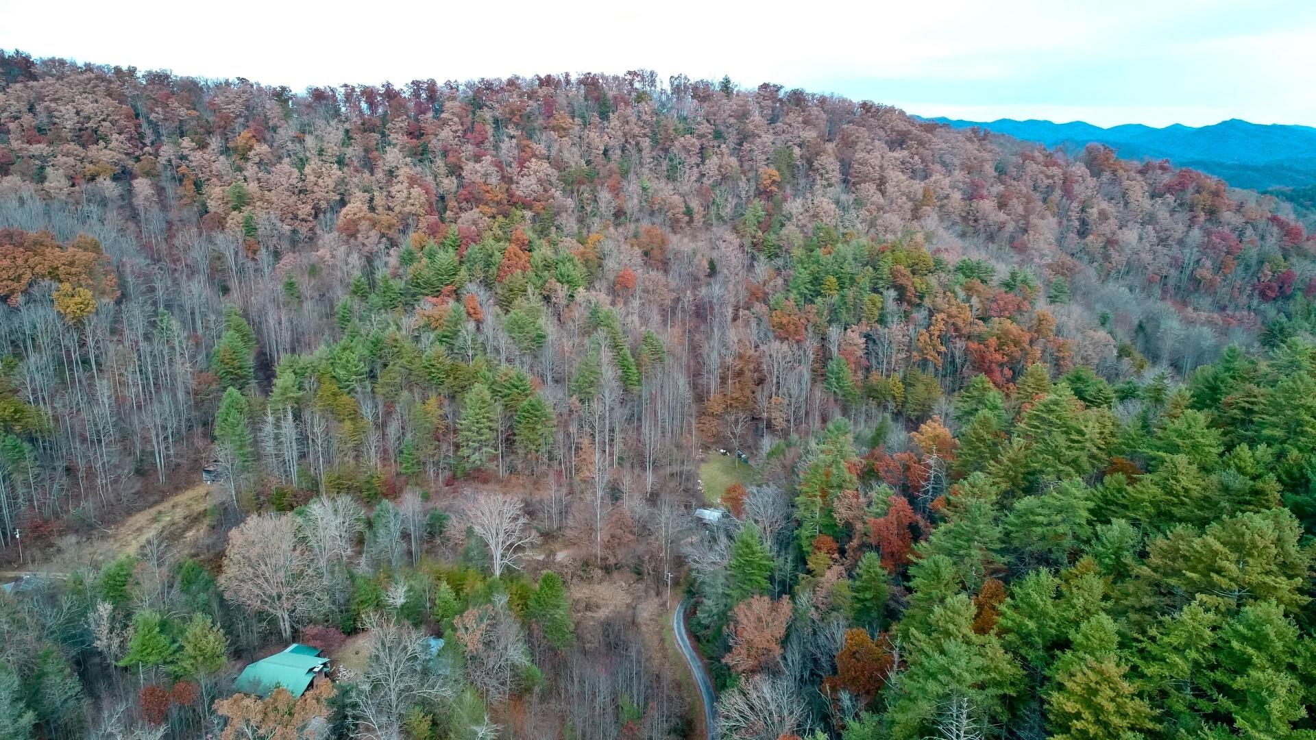 27.37-acre 27.37-acre Laurel Fork Road Del Rio, TN 37727 - Photo 5 of 25 DJI_0005