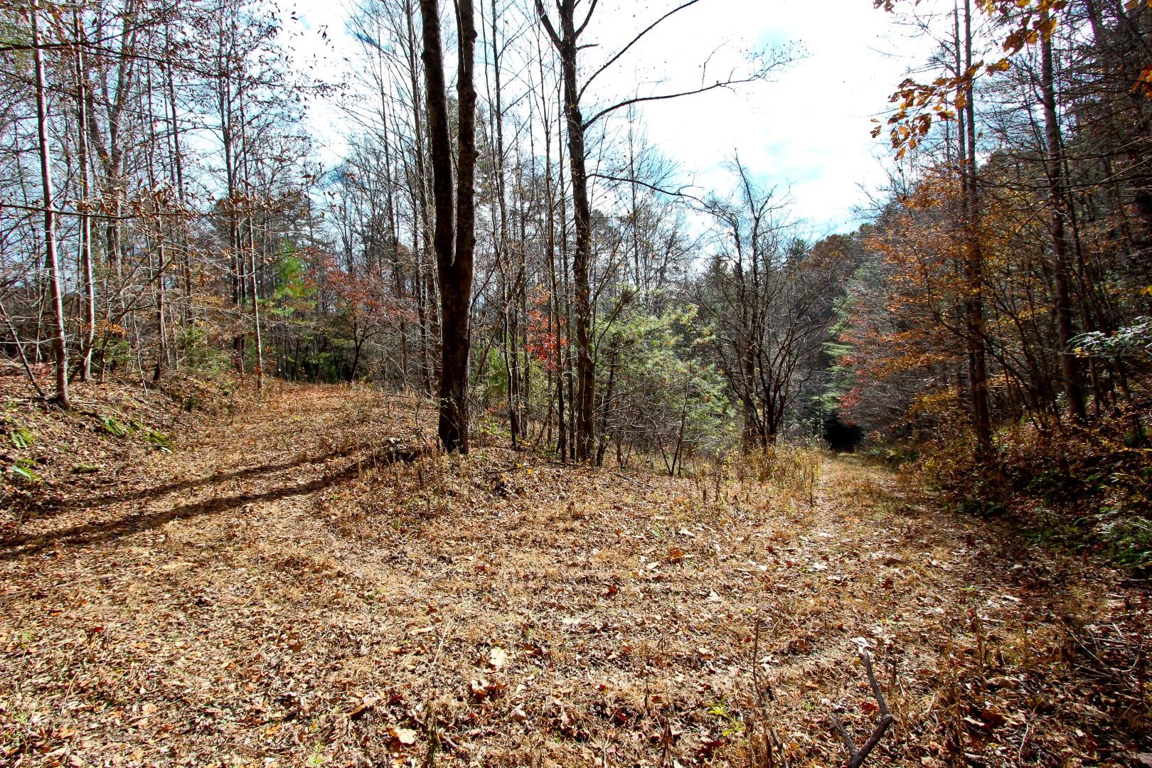 27.37-acre 27.37-acre Laurel Fork Road Del Rio, TN 37727 - Photo 8 of 25 IMG_3947