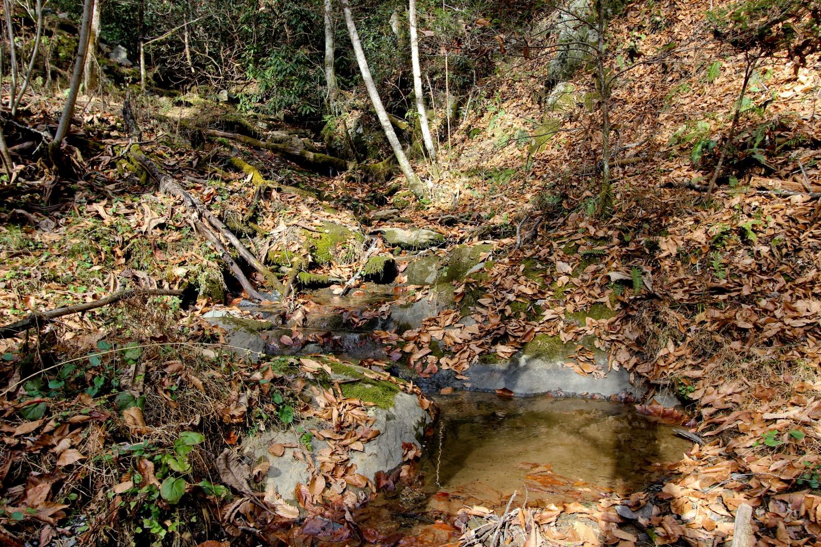 27.37-acre 27.37-acre Laurel Fork Road Del Rio, TN 37727 - Photo 10 of 25 IMG_3934