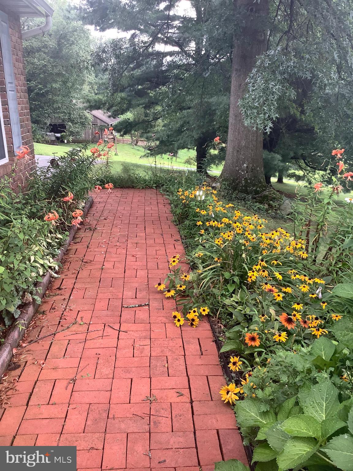 407 Miller Road Reading, PA 19608 - Photo 5 of 42 Mature landscaping