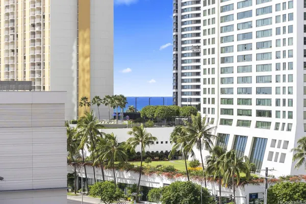a view of a potted plants next to a building