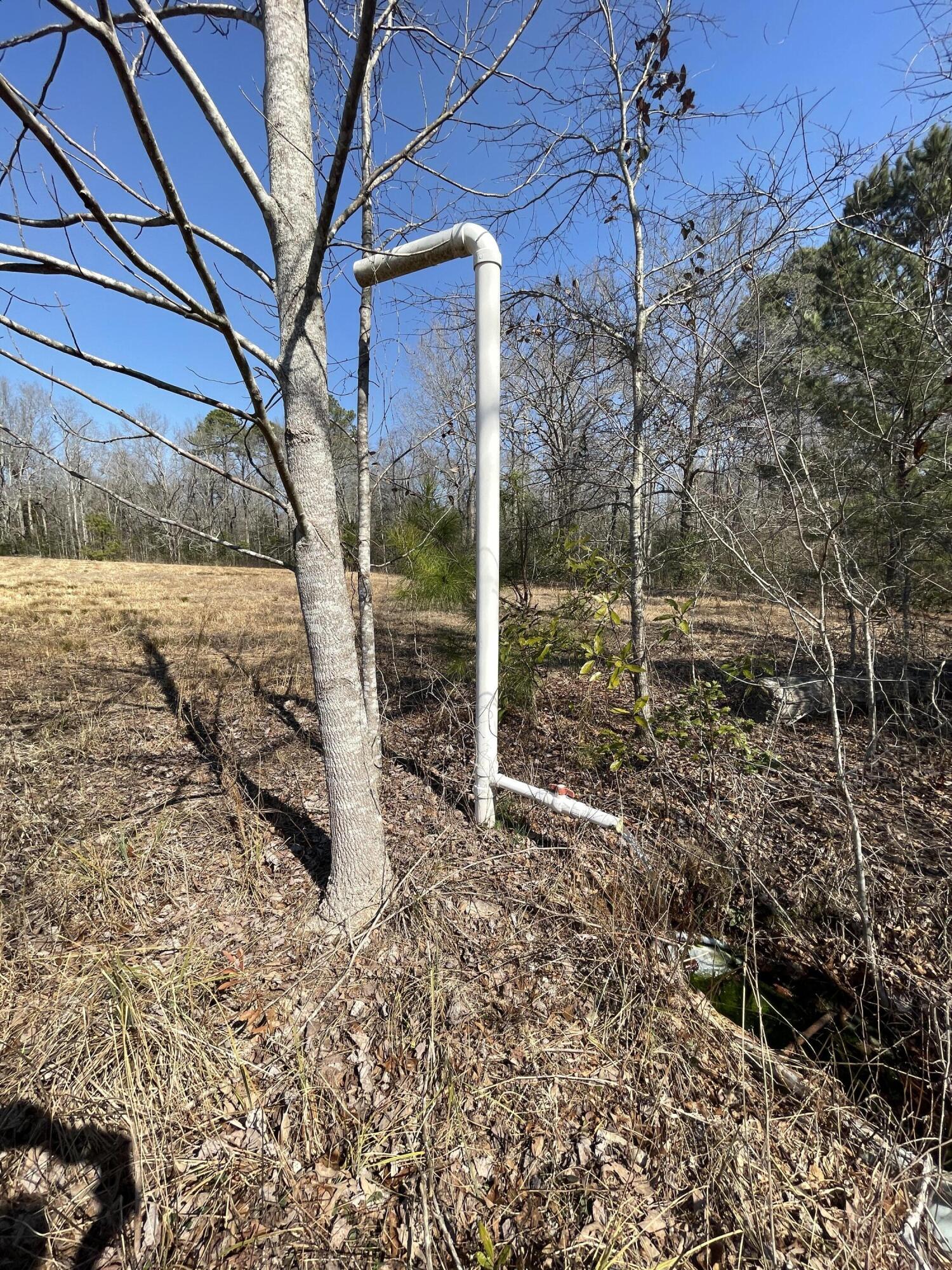 173 Wilderness Road Aiken, SC 29805 - Photo 46 of 50
