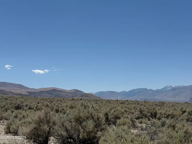 a view of a town with mountains in the background