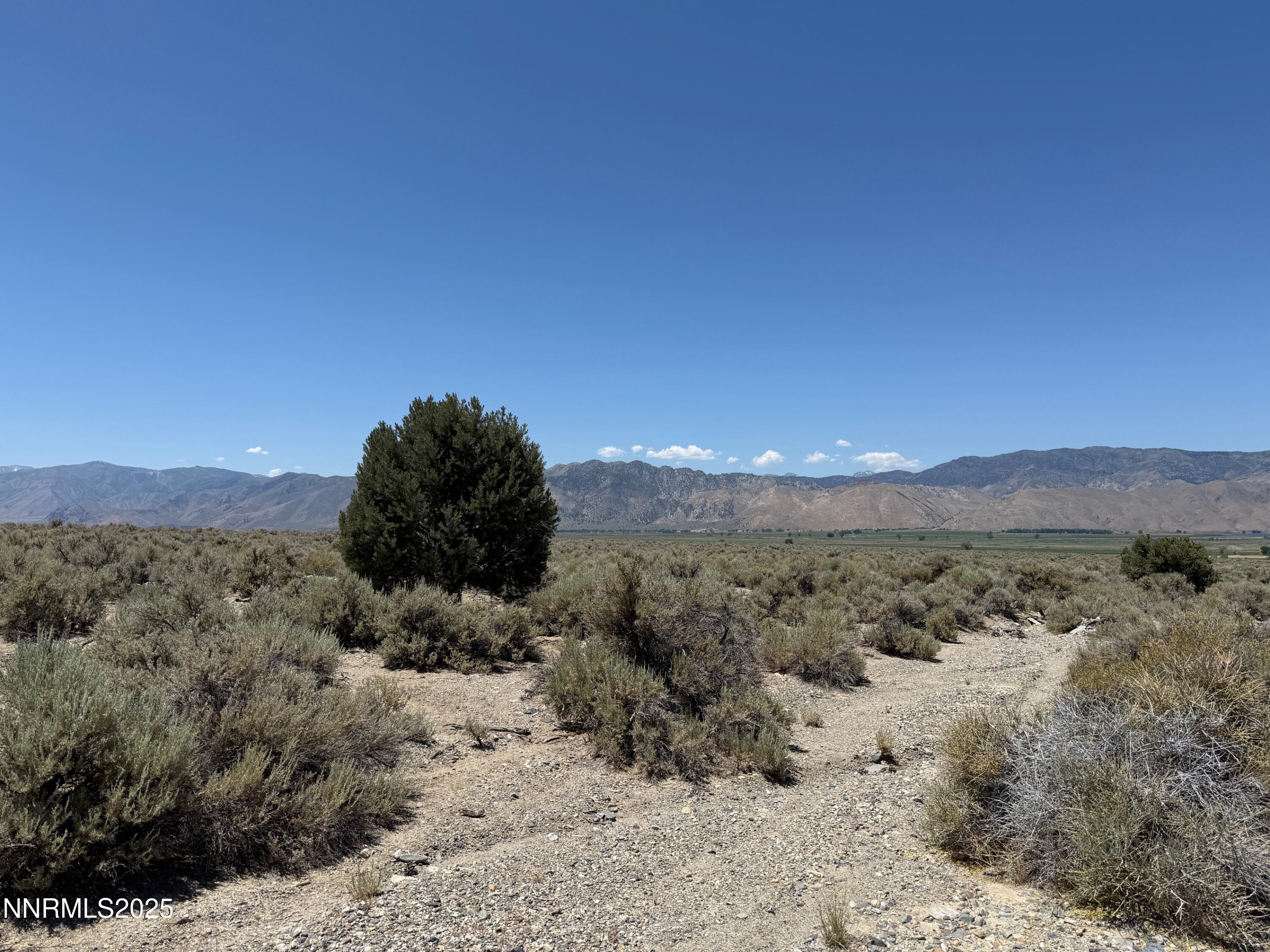 Tbd Fence Line Road Gardnerville, NV 89410 - Photo 3 of 15 a view of a covered with top of mountains