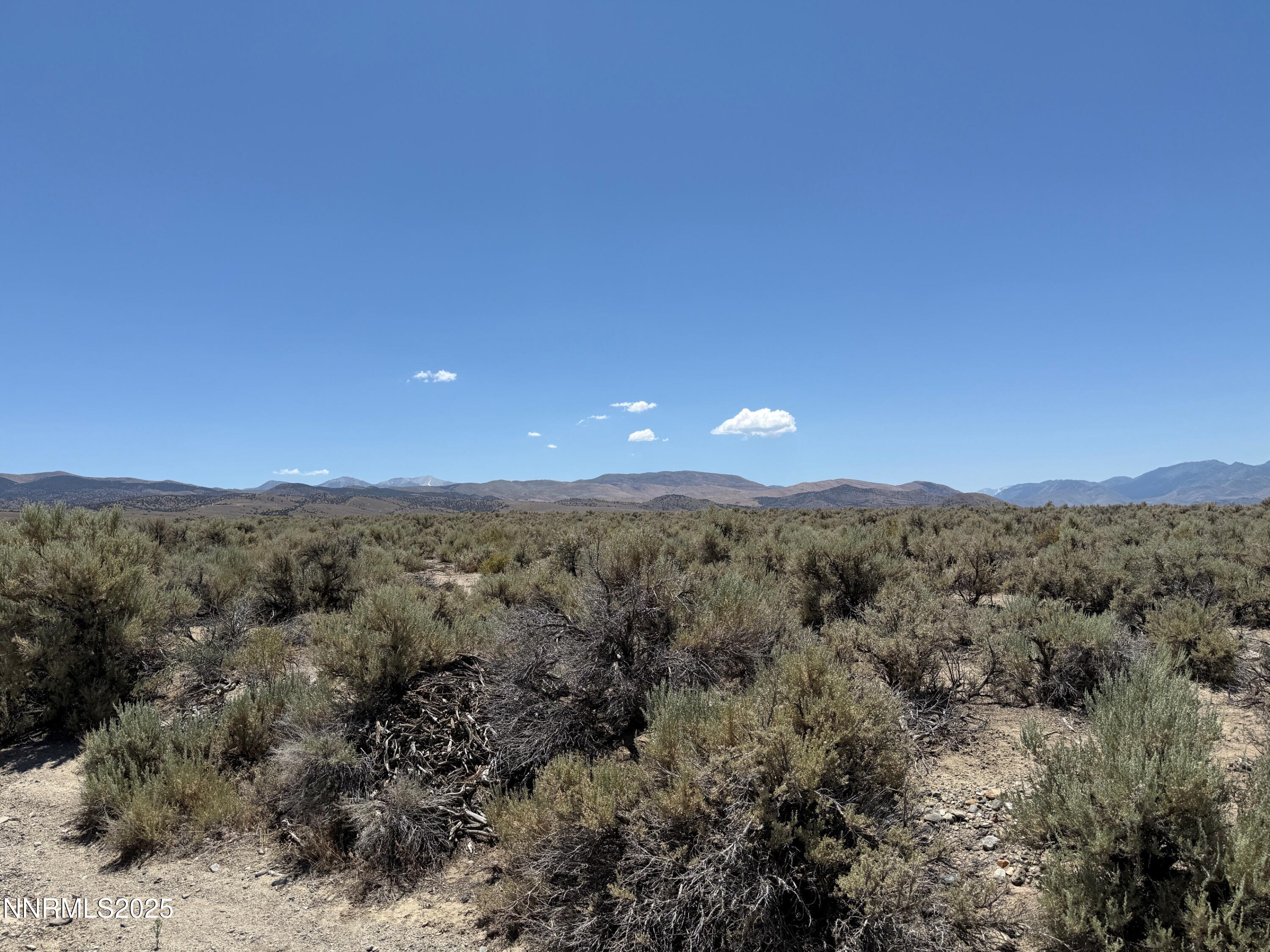 Tbd Fence Line Road Gardnerville, NV 89410 - Photo 4 of 15 a view of a city with lush green forest