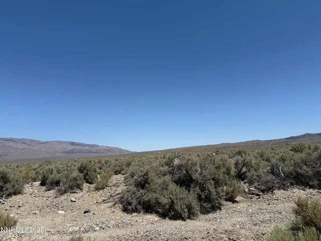 a view of a dry yard with mountains in the background