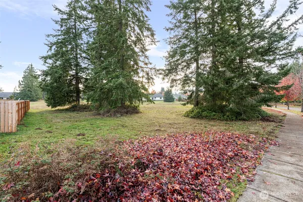 a view of backyard with green space