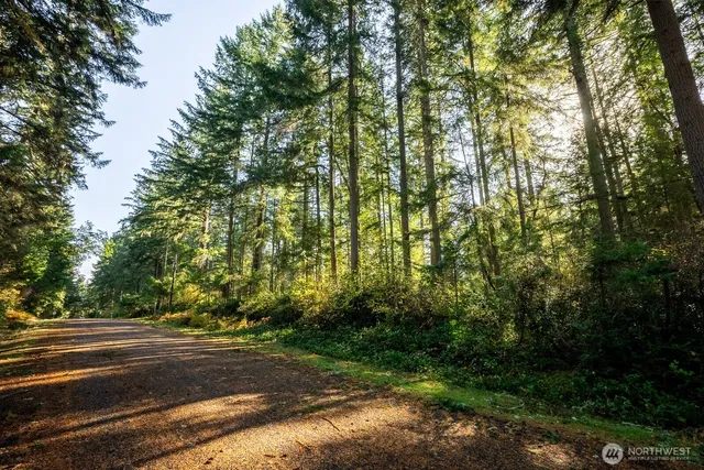 a view of road and yard